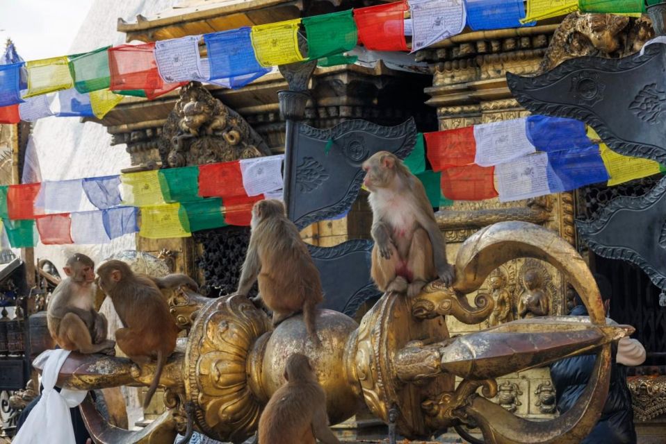 Walking Tour Of Kathmandu (Half Day)