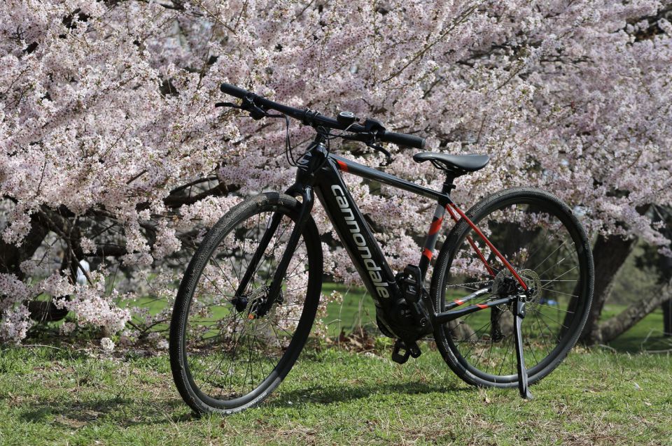 1 washington dc cherry blossom festival tour by bike Washington DC: Cherry Blossom Festival Tour by Bike