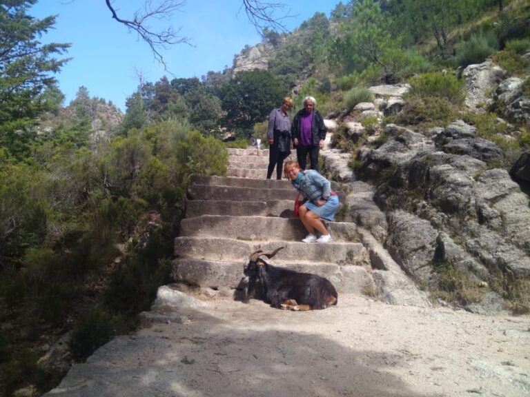 Waterfalls, Heritage and Nature in Gerês Park – From Porto