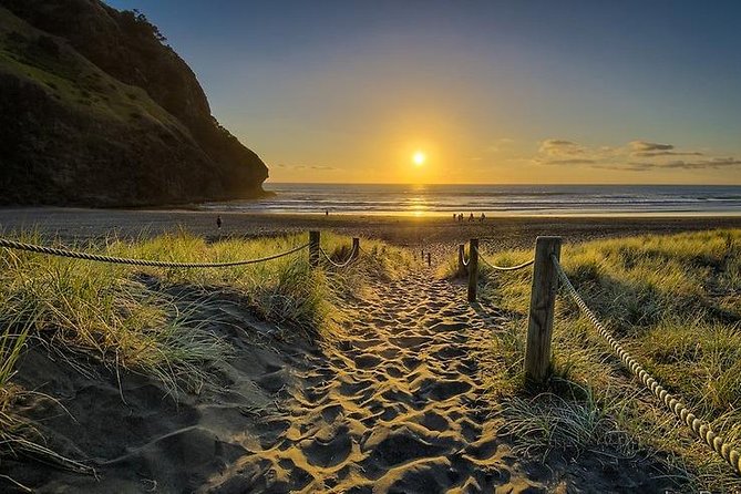 West Coast Discovery – Piha Beach or Muriwai Beach From Auckland