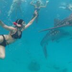 1 whale shark swimming sumilon sandbar and kawasan falls tour Whale Shark Swimming, Sumilon Sandbar and Kawasan Falls Tour