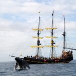 1 whale watching pirate ship cruise in los cabos Whale-Watching Pirate Ship Cruise in Los Cabos