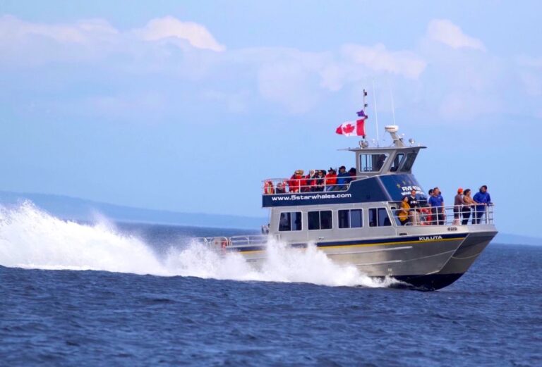 Whale Watching Tour in Victoria, BC