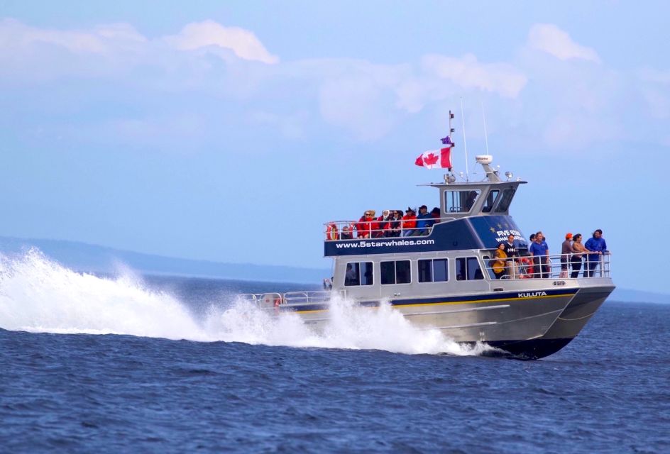 1 whale watching tour in victoria bc Whale Watching Tour in Victoria, BC