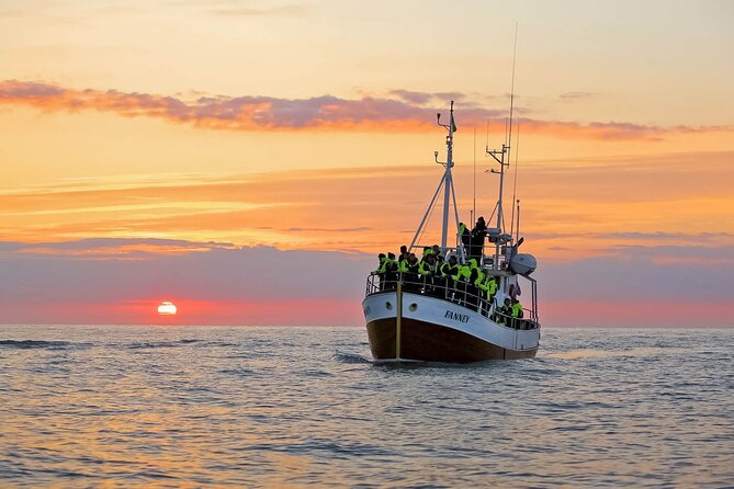 Whales and Puffins Tour From Husavik