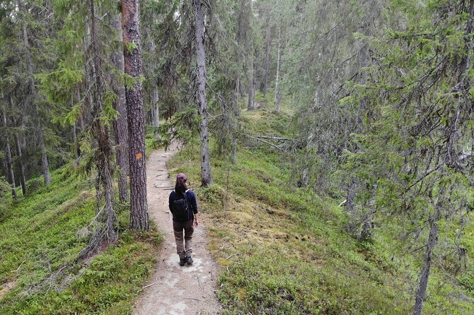 1 wilderness hike in rovaniemi Wilderness Hike in Rovaniemi