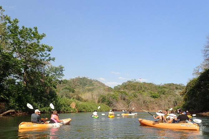 1 wildlife and mangrove kayaking tour rio ora Wildlife and Mangrove Kayaking Tour Río Ora