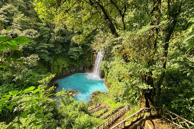 Wildlife Nature Hike, Blue Waterfall, Lunch & Sloth Trail – Tenorio Volcano Park
