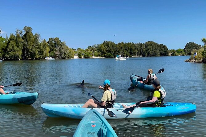 1 wildlife refuge sunset dolphin manatee mangrove kayak or paddleboarding tour Wildlife Refuge Sunset Dolphin, Manatee & Mangrove Kayak or Paddleboarding Tour!