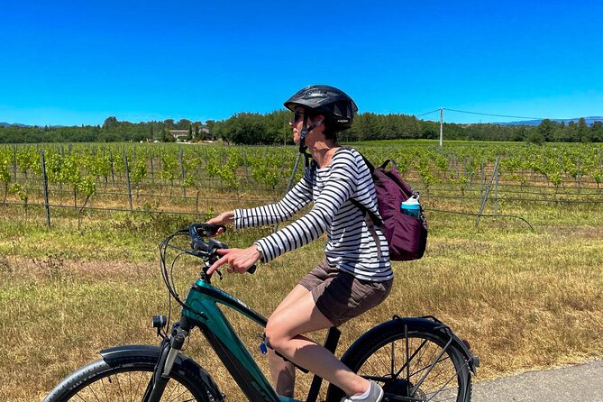 Wine Excursion by Electric Bike Guided by GPS Vallon Pont Darc