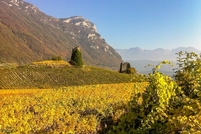 Wine Tour 10 Hours With Private Driver From Chamonix
