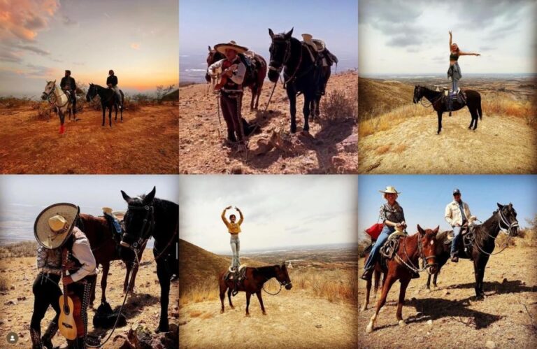 Wine Tour and Horseback Ride in Guanajuato City