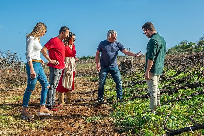 Winery Tour and Tasting in Tenerife With the Sommelier