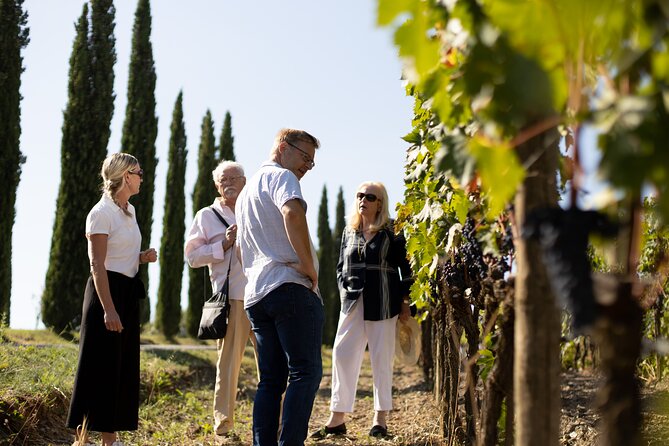 1 winery tour wine tasting in montalcino Winery Tour & Wine Tasting in Montalcino