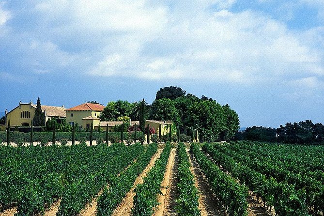 Winery Tour With Private Luxury Vehicle From Barcelona With Hotel Pick up