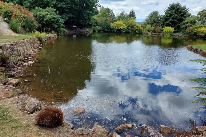 Wings Wildlife Park Tour With Burnie Attractions Bus