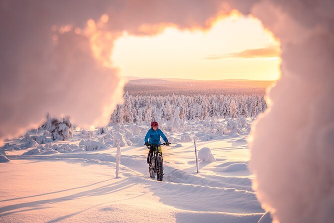 Winter Afternoon Group Ride in Saariselkä