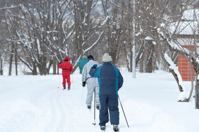 Winter Animal Watching Tour With Cross-Country Skiing