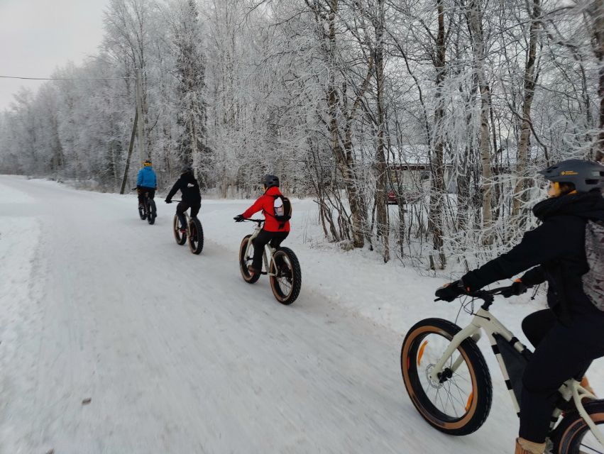 1 winter fatbiking in ivalo Winter Fatbiking in Ivalo