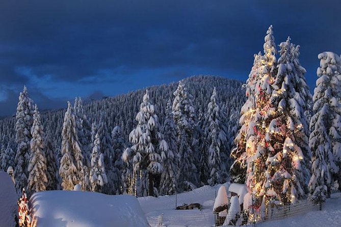 Winter Fun at North Shore Mountains- Grouse, Seymour & Cypress