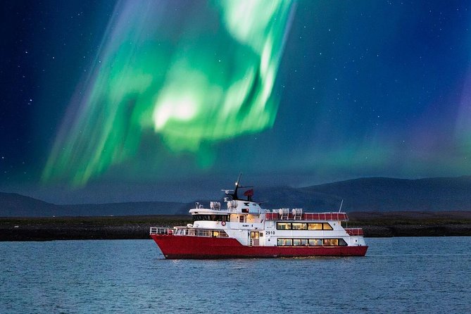 Winter Whale Watching & Northern Lights Cruise Combo From Reykjavik