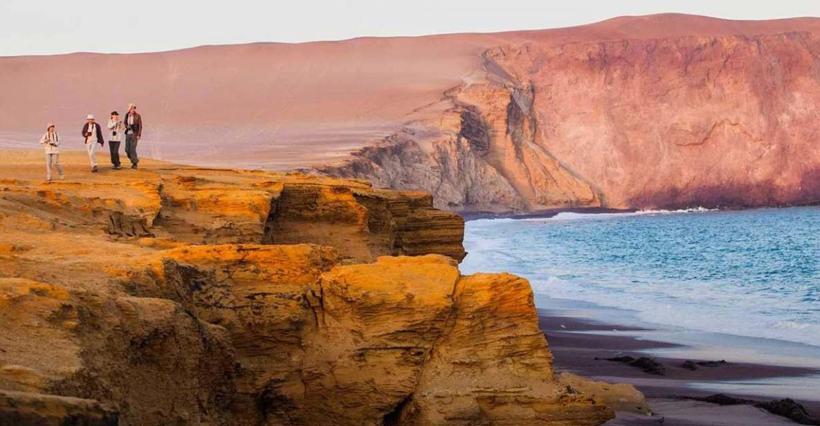 1 wonders of paracas ballestas islands and national reserve Wonders of Paracas: Ballestas Islands and National Reserve