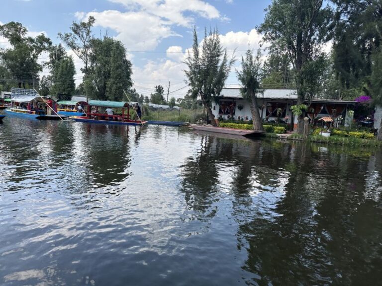 Xochimilco: Boat Tour With Ambystoma Mexicanum Sanctuary