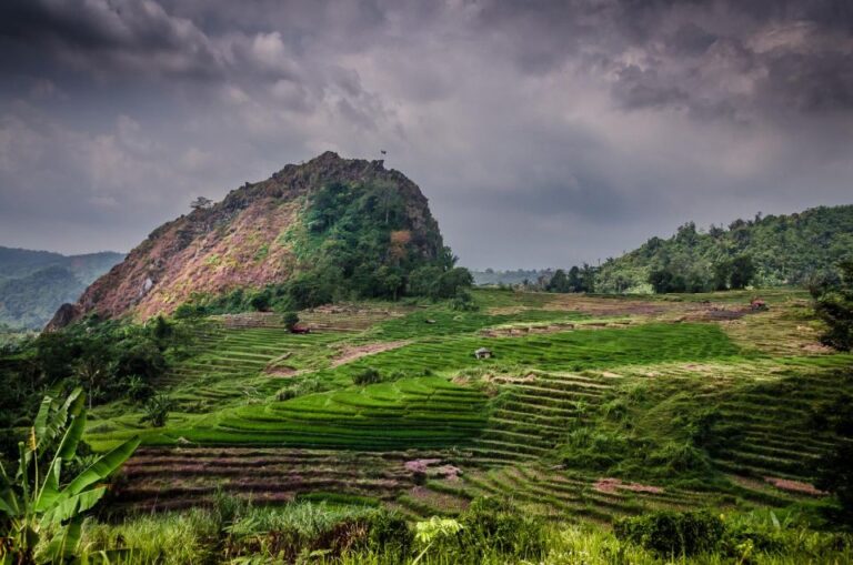 Yogyakarta: Selogriyo, Marvel Amidst Java’s Lush Terraces
