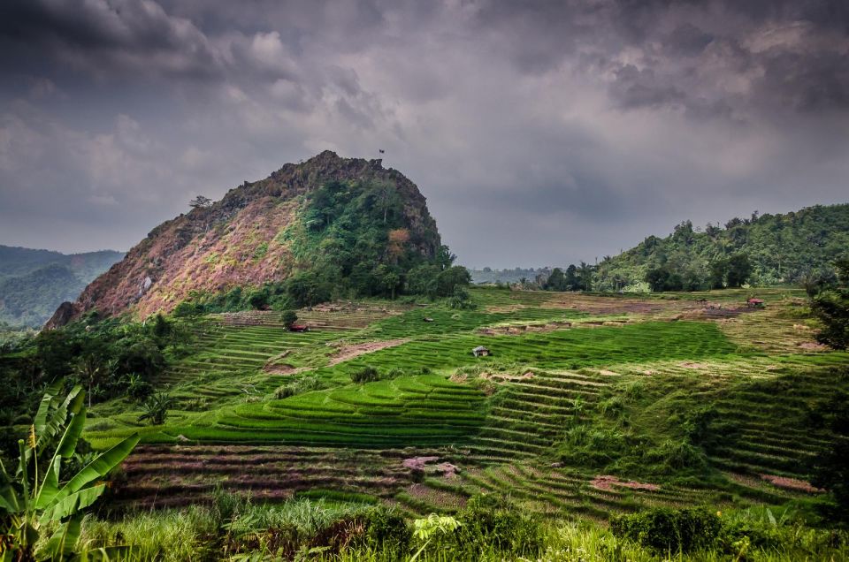 1 yogyakarta selogriyo marvel amidst javas lush terraces Yogyakarta: Selogriyo, Marvel Amidst Java's Lush Terraces