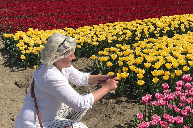 Your Own Holland. Tulip Fields Tour by Electric Bike