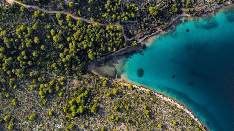 1 zadar half day speedboat adventure Zadar: Half Day Speedboat Adventure