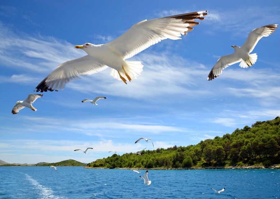 1 zadar private boat trip and entry to kornati national park Zadar: Private Boat Trip and Entry to Kornati National Park