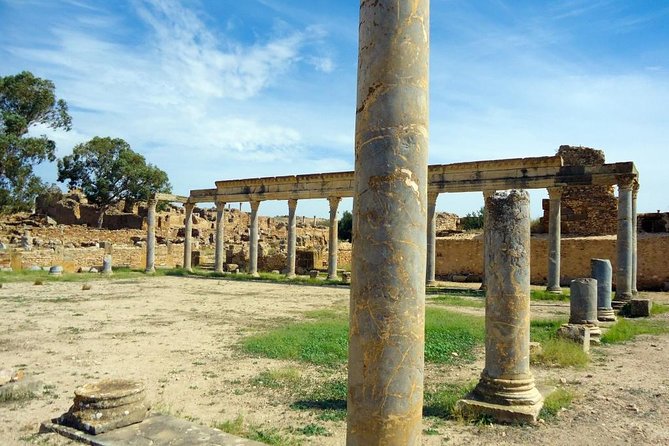 Zaghouan, Thuburbo Majus and Dougga Private Self-Guided Excursion From Hammamet