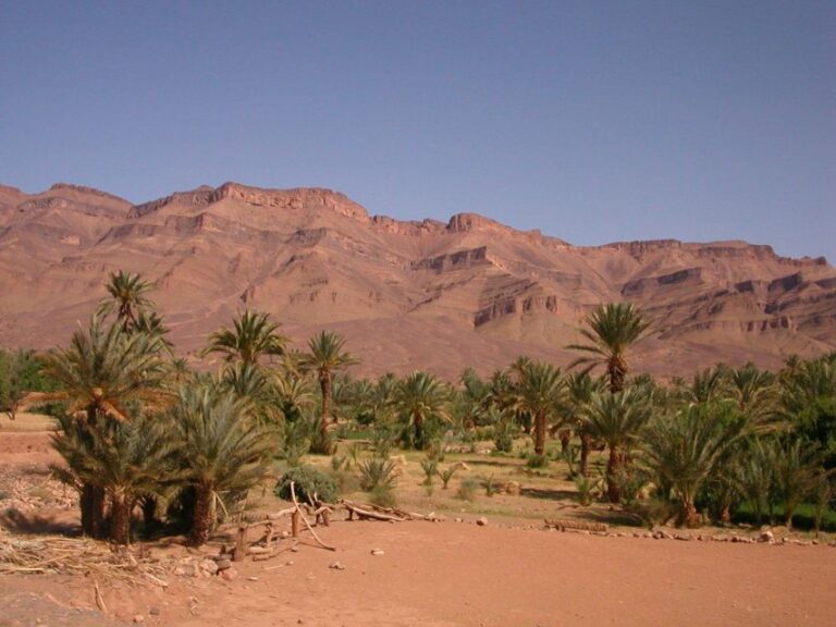 Zagora Sahara Desert Overnight Trip From Ouarzazate