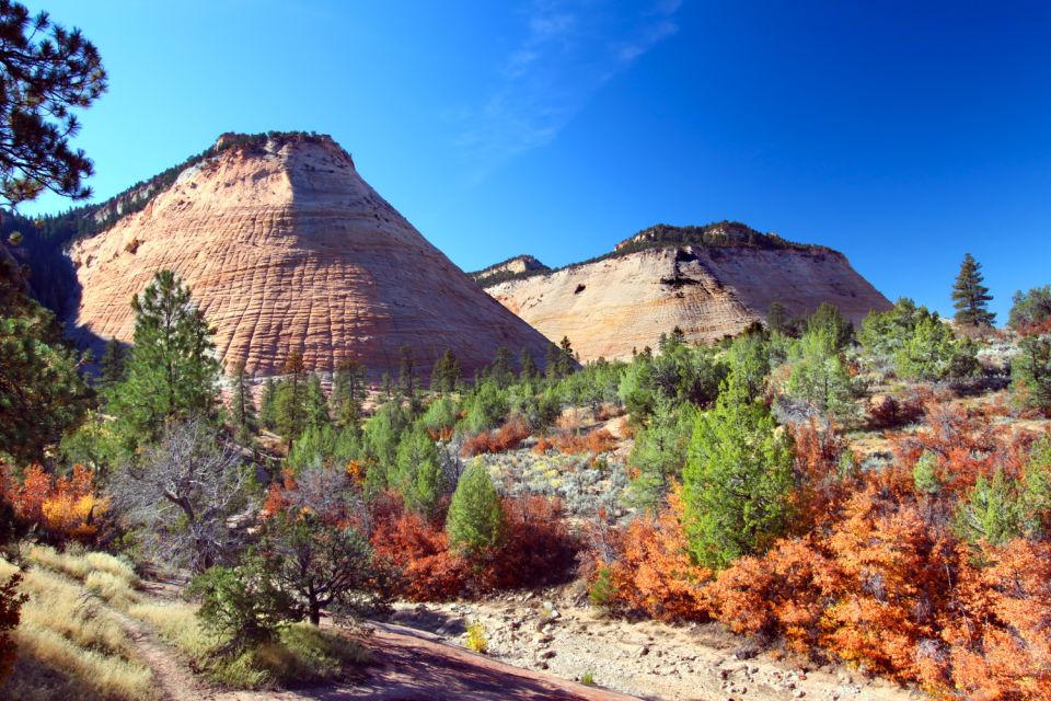 1 zion national park self driving audio guided tour Zion National Park: Self-Driving Audio Guided Tour