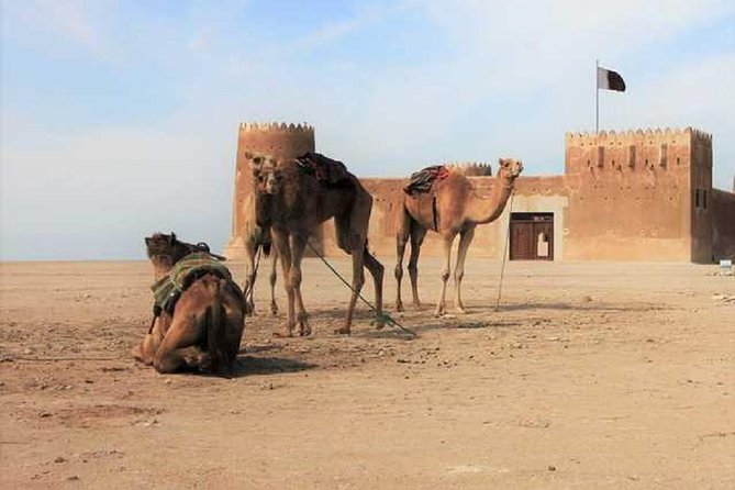 Zubara North Coast Tour in Qatar