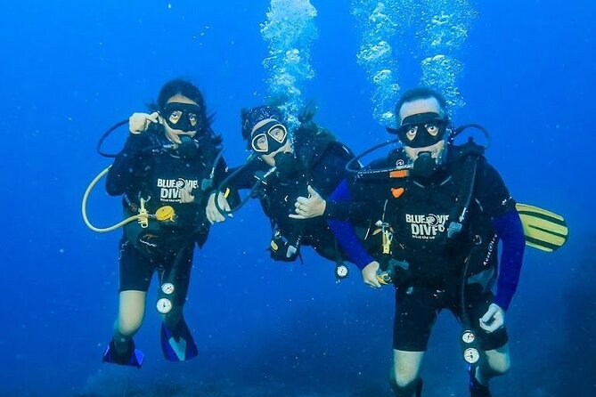 2 Day Beginner Dive Course PADI Open Water Course Phi Phi Island - Key Points