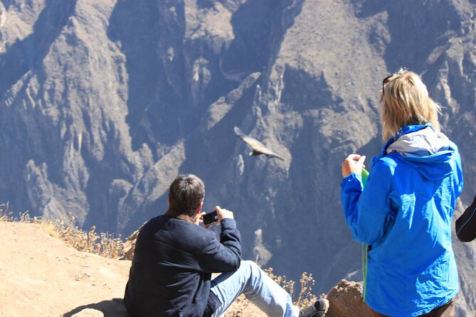 2 Day Colca Canyon, Vicuna Reserve and Condors From Arequipa - Highlights of Colca Canyon