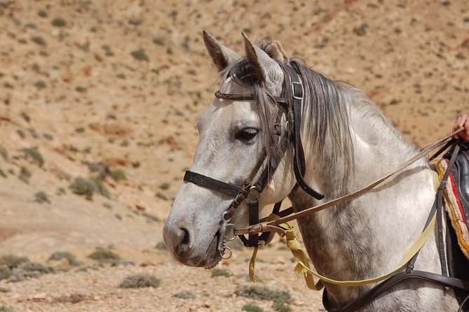 2-Day Horseback Riding in Moroccos Atlas Mountains From Marrakech - Key Points