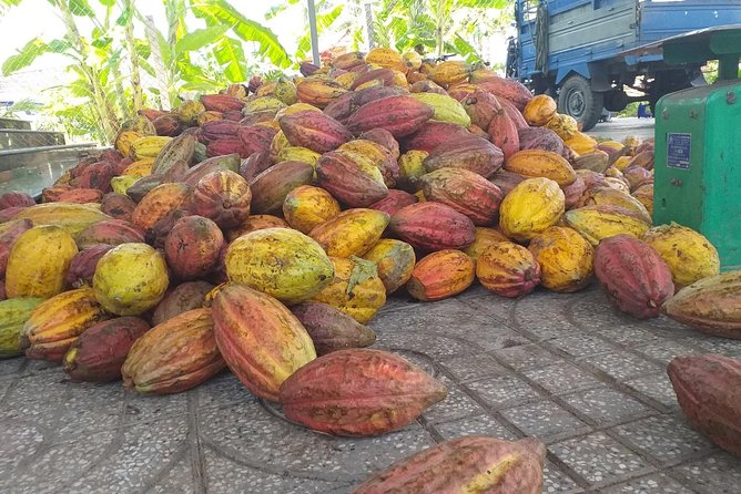 2-Day Mekong Delta With Cai Cang Floating Market From HCM City - Tour Pricing and Variations