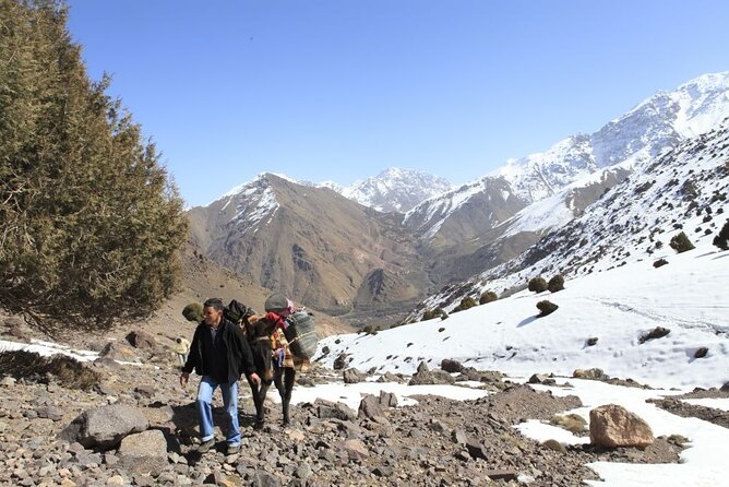 2-Day Toubkal Trek From Marrakech With Local Guide - Key Points