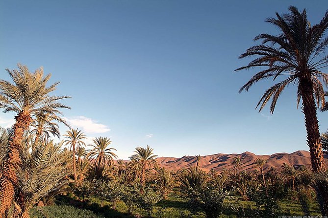 2-Day Tour to Zagora Desert From Marrakech - Key Points