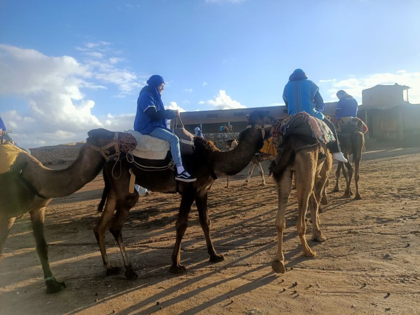 2 Days 1 Night From Marrakech to Zagora Desert - Key Points