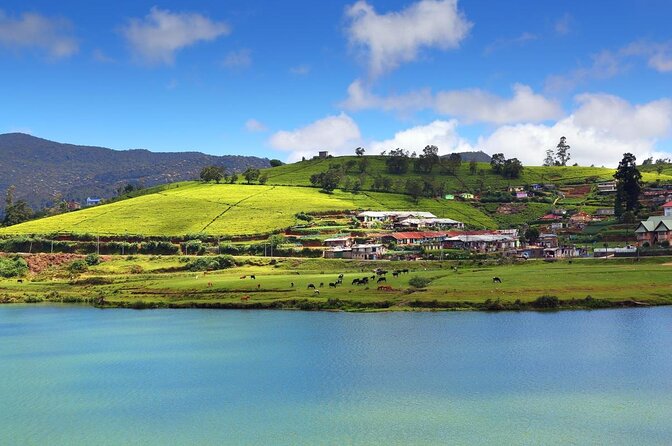 2 -Days Private Tour to Nuwara Eliya From Colombo - Key Points