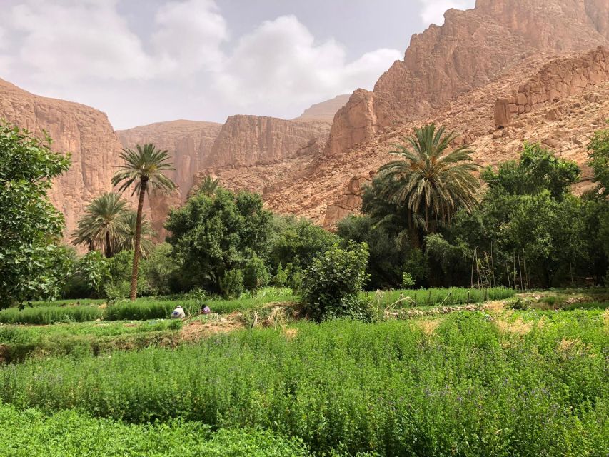 2 Days Tour to Ait Ben Haddou, Ouarzazate & Dades Valley - Key Points