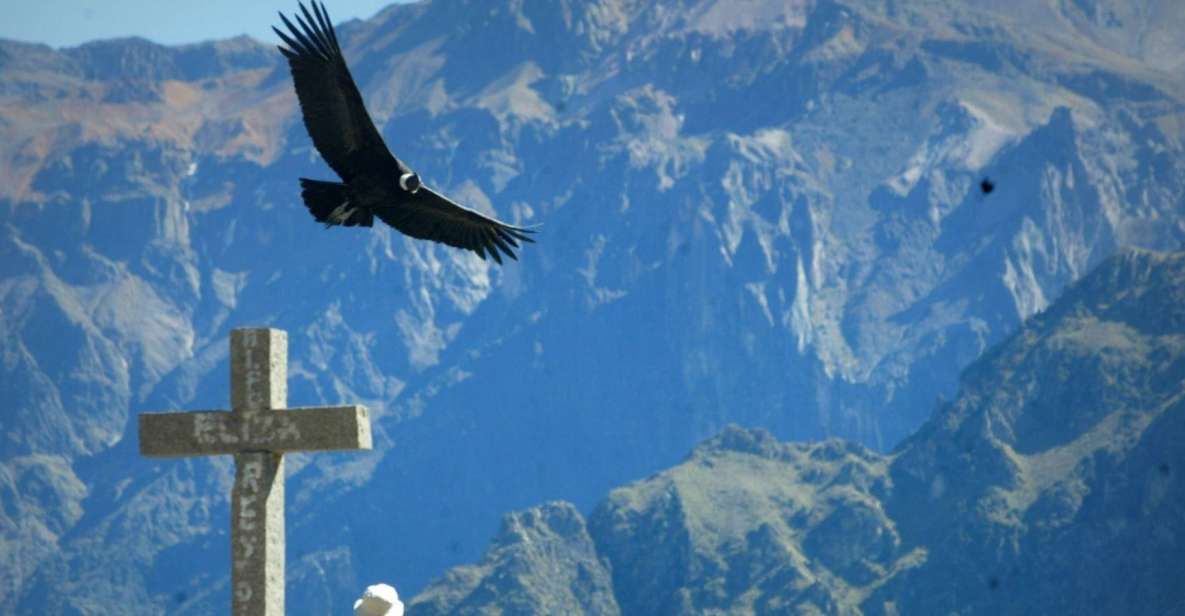 2 Days Trekking to the Colca Valley and the Condor's Cross - Key Points