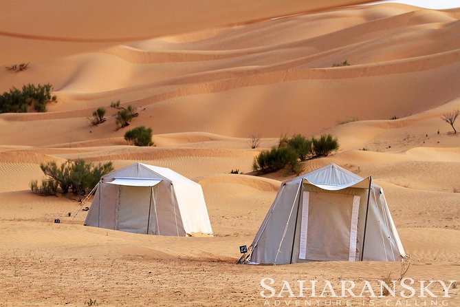 2 Days Tunisia Sahara Desert Buggy Safari Adventure - Key Points