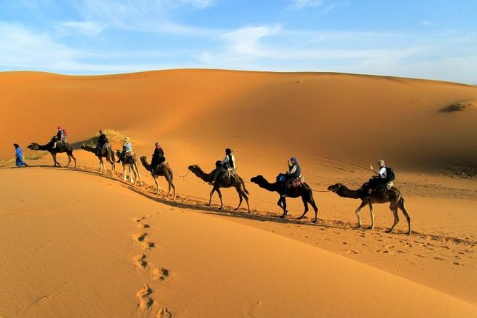 2 Days Zagora Desert Tour From Marrakech, Including Camel Trek and Desert Camp - Key Points