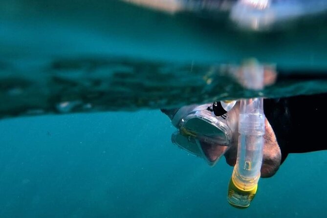 2-Hour Afternoon Snorkeling Experience in Gran Canaria by Boat - Key Points