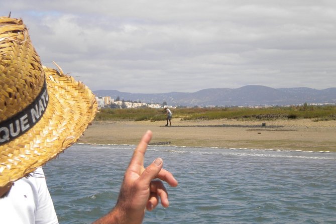 2-Hour Bird Watching Guided Boat Trip in Ria Formosa From Faro Algarve - Tour Details